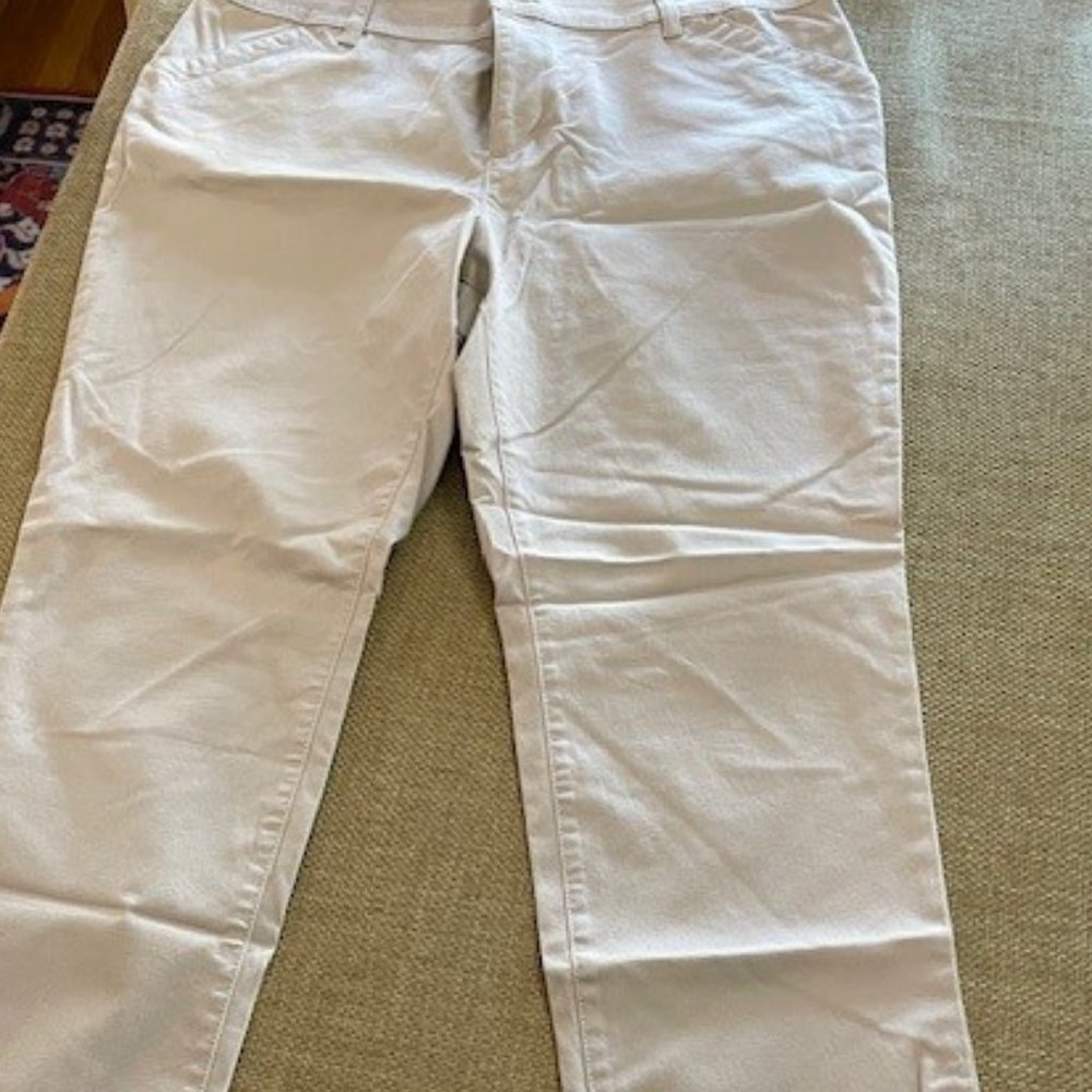Talbots beige pants